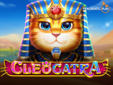 Casino free slots. Kedi kumu cesitleri.85